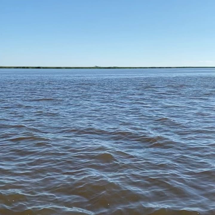 Post 3 by HOMEGROWN OUTDOORS on Instagram (video)