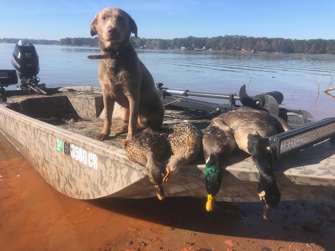 Post 7 by HOMEGROWN OUTDOORS on Instagram (image)