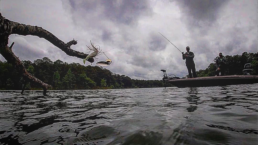 Post 10 by HOMEGROWN OUTDOORS on Instagram (image)
