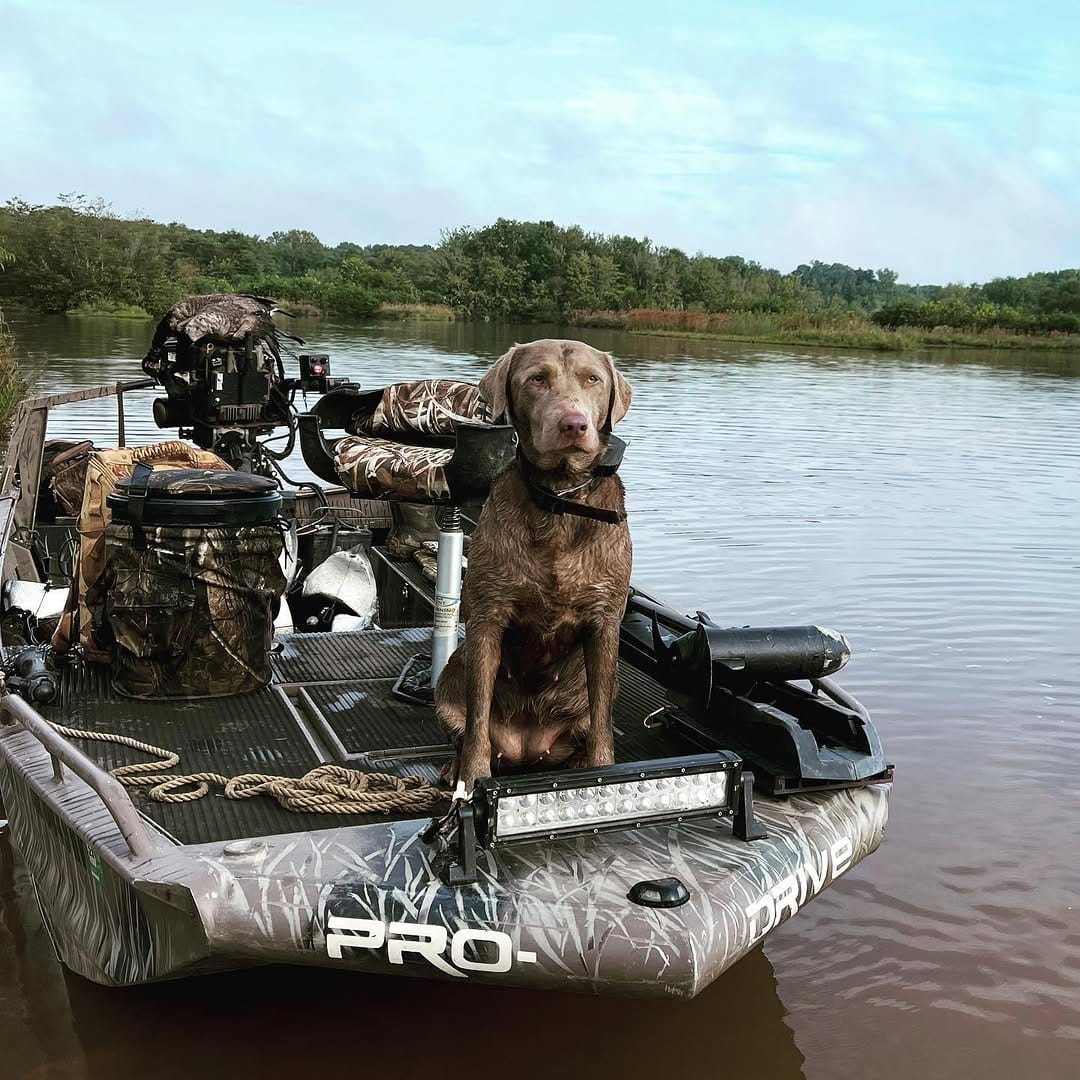 Post 2 by HOMEGROWN OUTDOORS on Instagram (image)