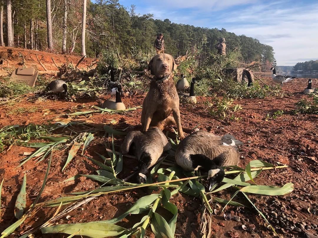 Post 6 by HOMEGROWN OUTDOORS on Instagram (image)