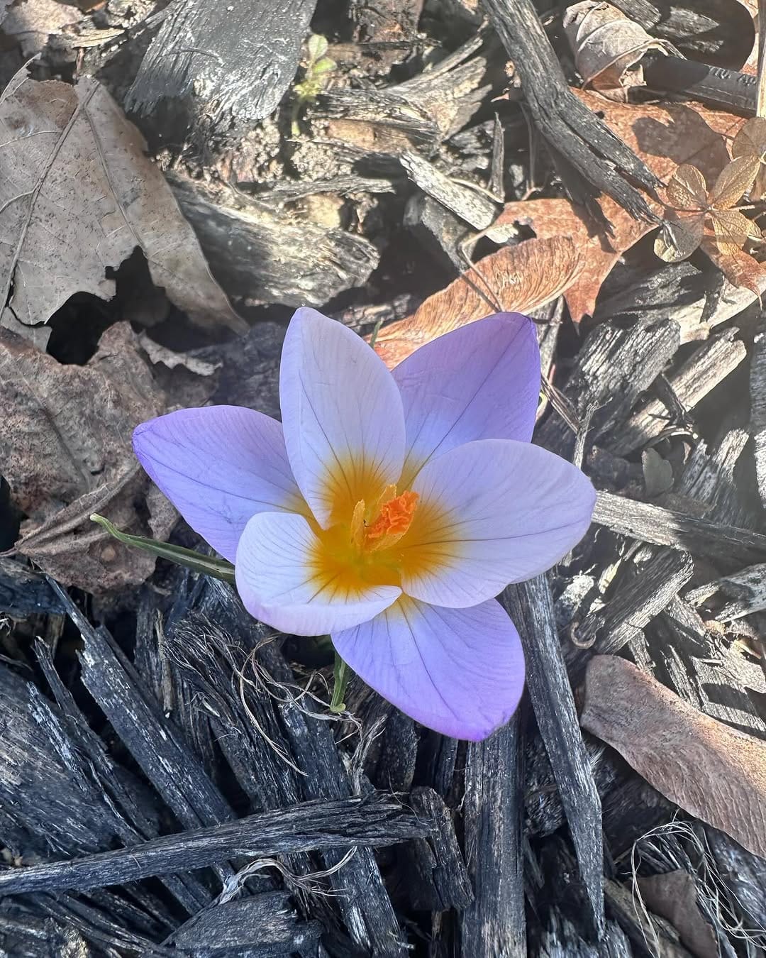 Post 3 by Laura Barnett, LMSW, LCSW, ATR on Instagram (carousel)