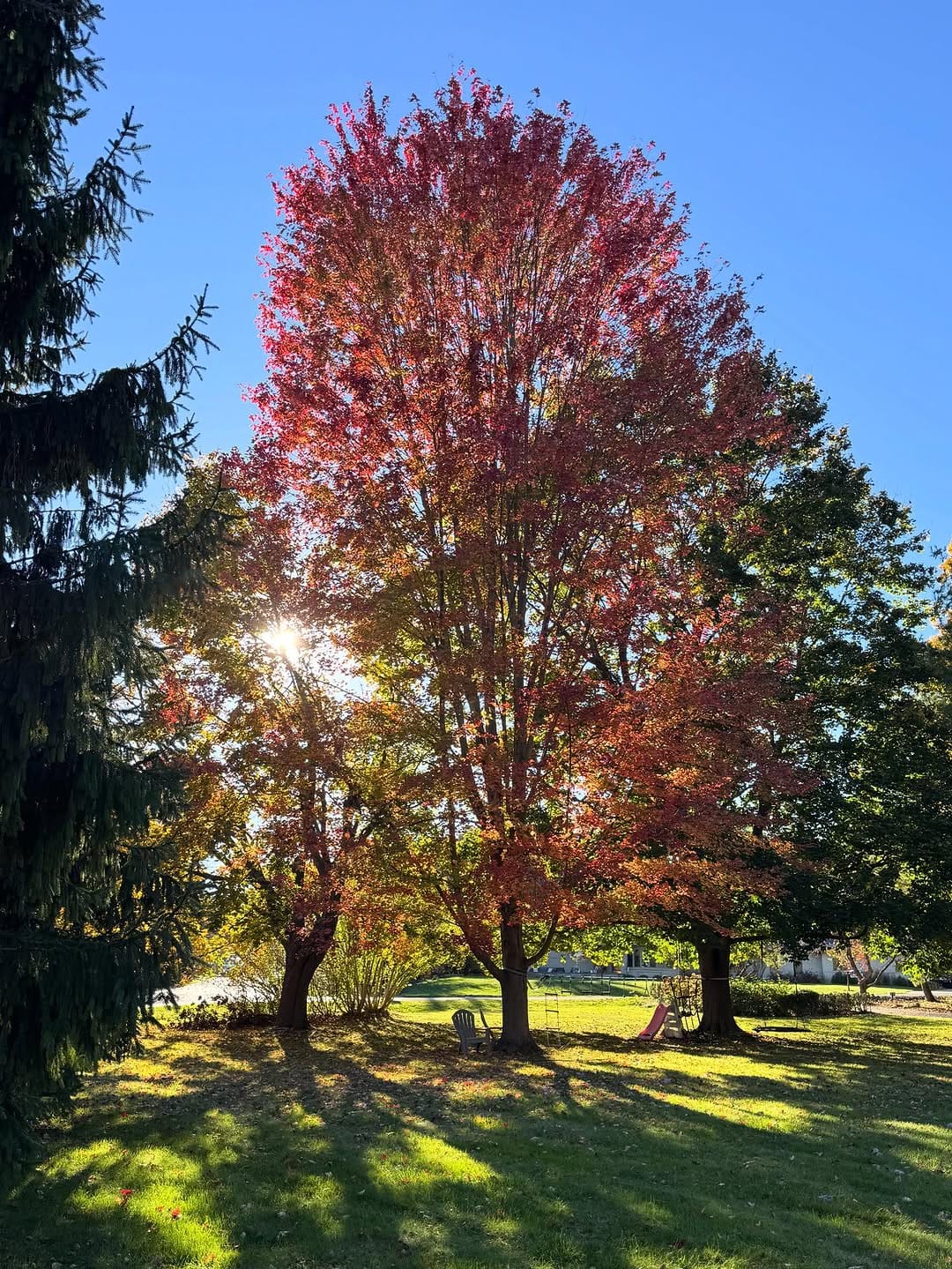Post 1 by Laura Barnett, LMSW, LCSW, ATR on Instagram (image)