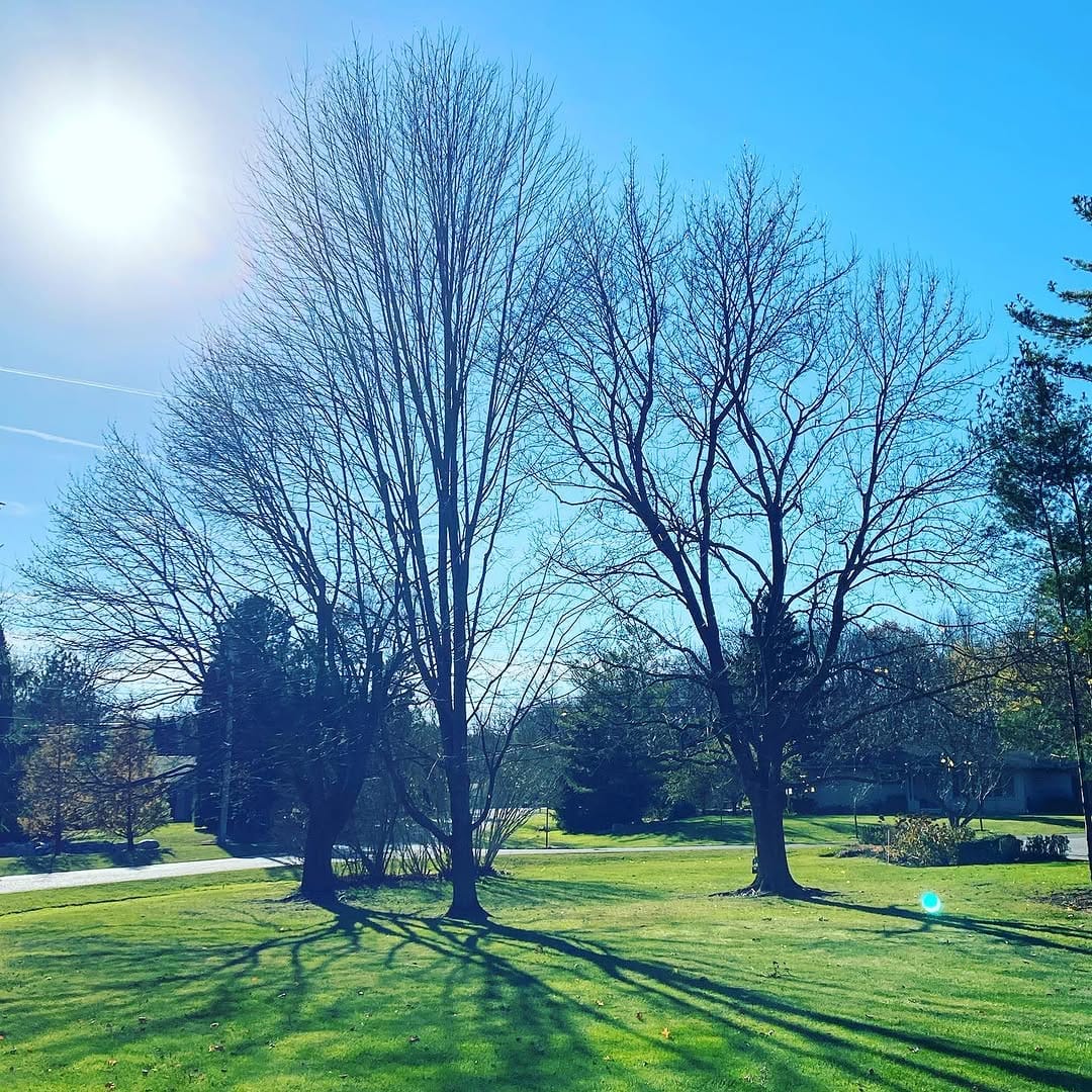 Post 9 by Laura Barnett, LMSW, LCSW, ATR on Instagram (image)