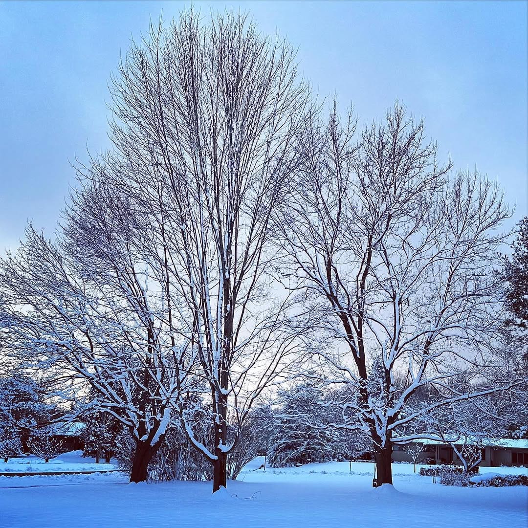 Post 7 by Laura Barnett, LMSW, LCSW, ATR on Instagram (image)