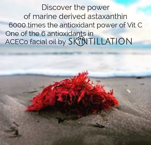 Post 7 by Skintillation on Instagram (image)