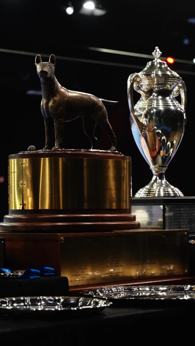 Post 4 by The National Dog Show on Instagram (video)