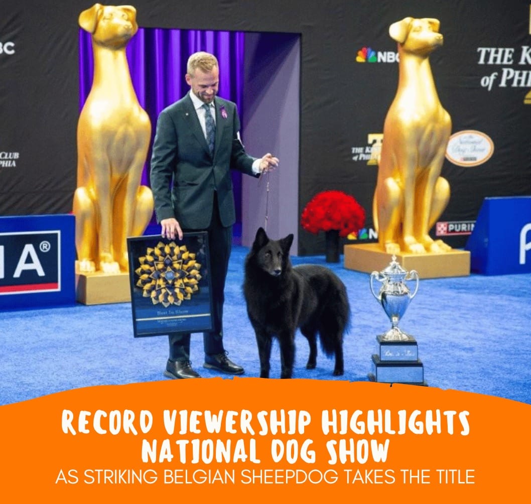Post 3 by The National Dog Show on Instagram (image)