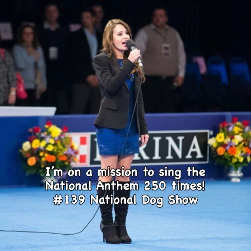 Post 2 by The National Dog Show on Instagram (image)