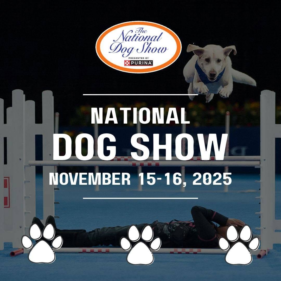 Post 10 by The National Dog Show on Instagram (image)