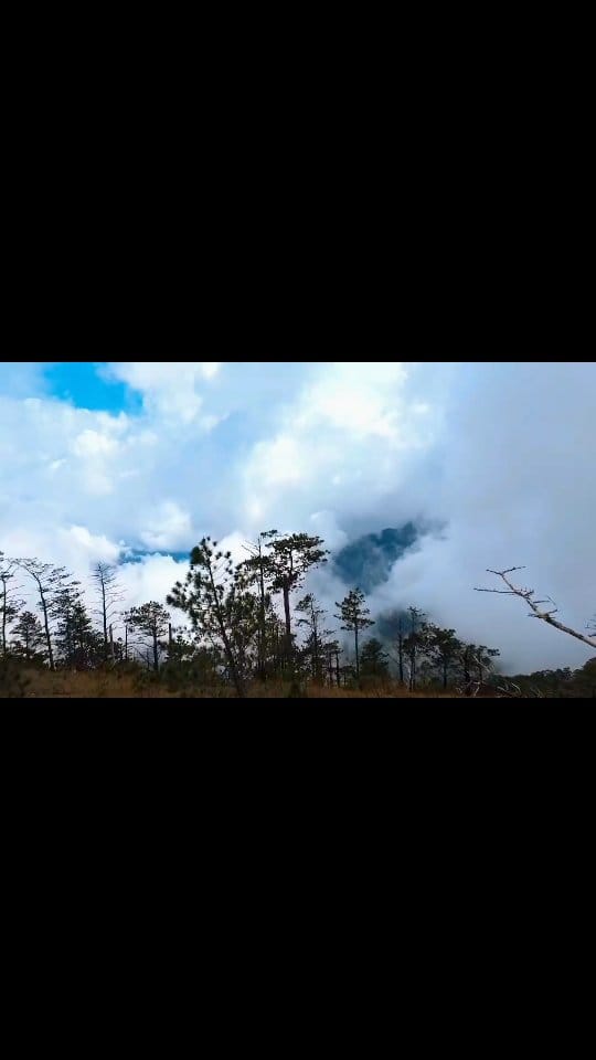 Post 8 by Hosue Mang Liligaw on Instagram (video)