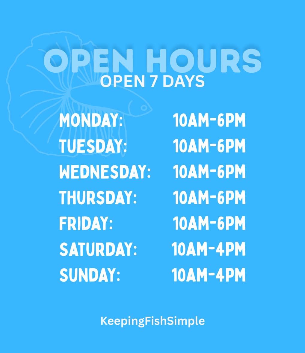 Post 10 by KeepingFishSimple Shop on Instagram (image)