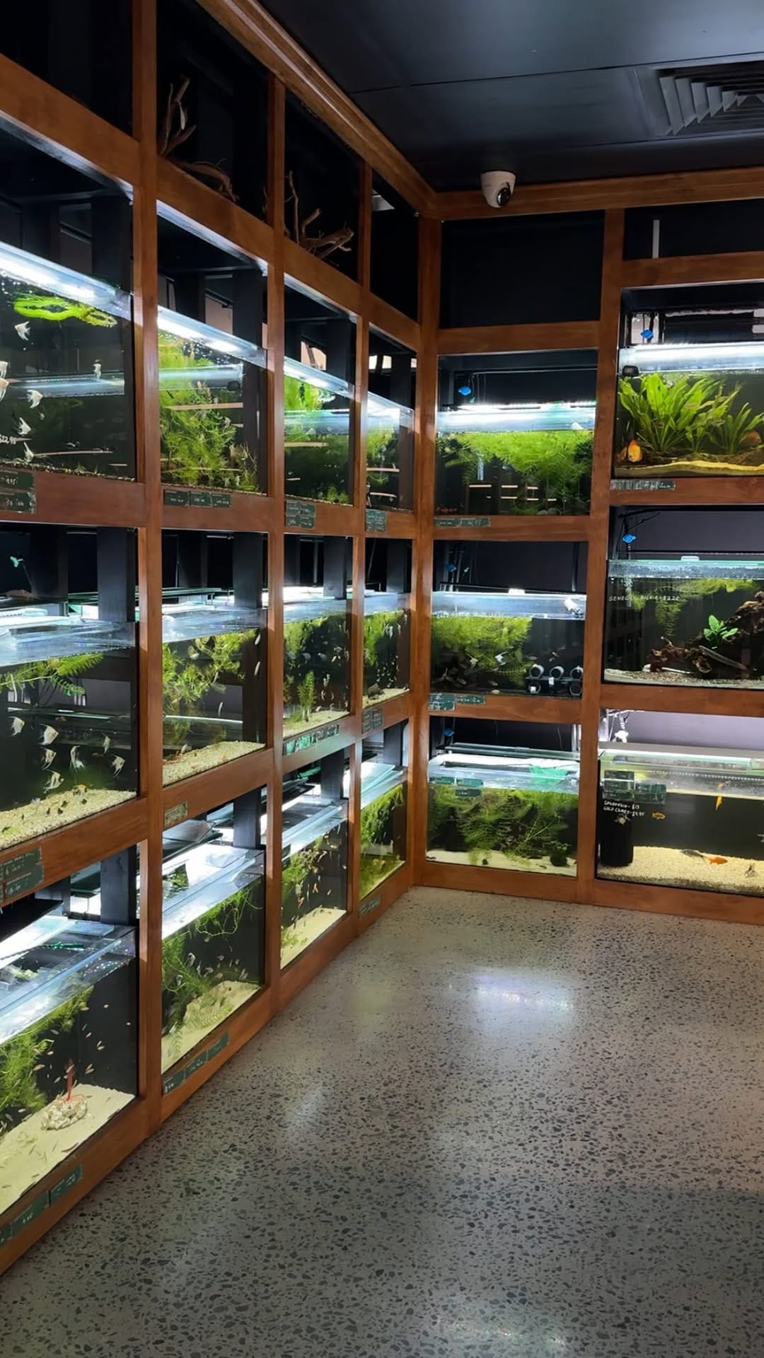 Post 6 by KeepingFishSimple Shop on Instagram (video)