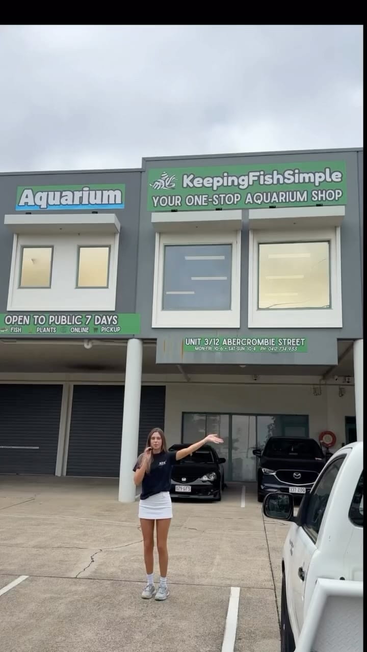Post 9 by KeepingFishSimple Shop on Instagram (video)