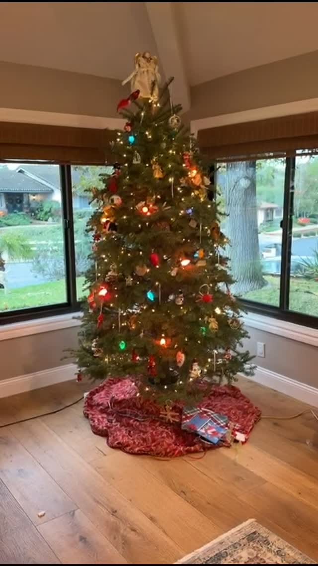 Post 3 by Jon Robert Hall on Instagram (video)