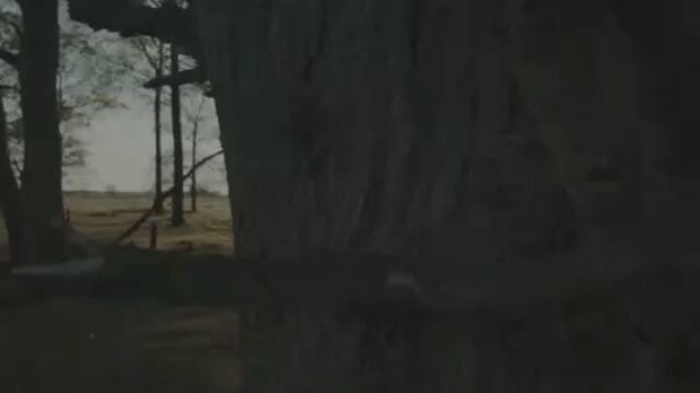 Post 2 by Muslim Milenial on Instagram (video)