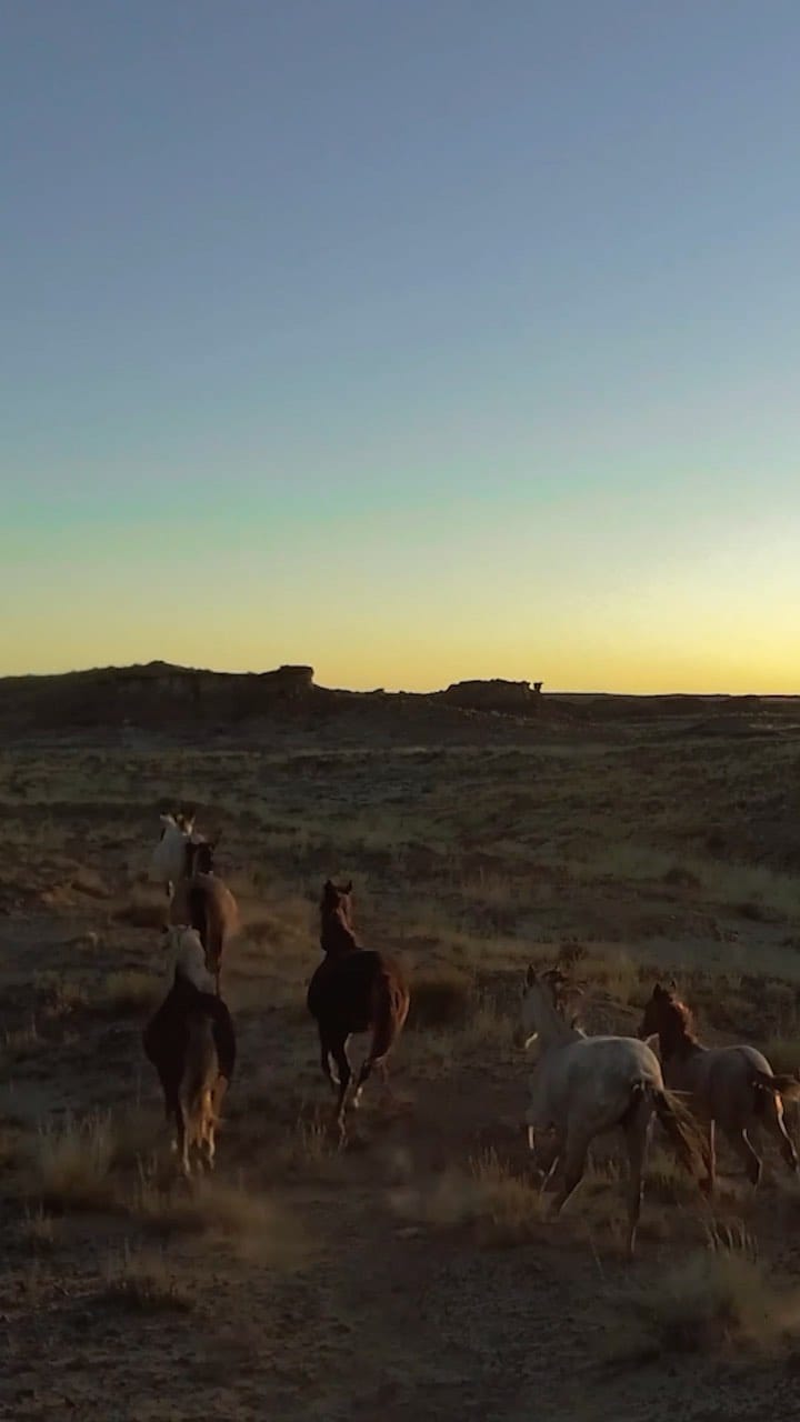 Post 9 by Jasper Rischen on Instagram (video)