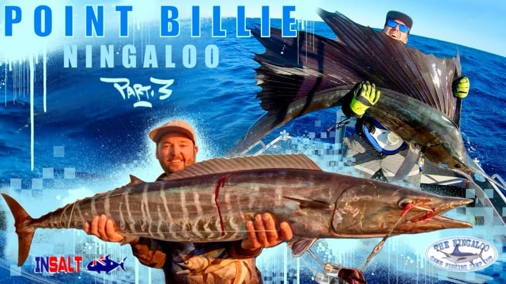 Post 1 by 🎣 Non Stop Fillets 🎣 on Instagram (carousel)