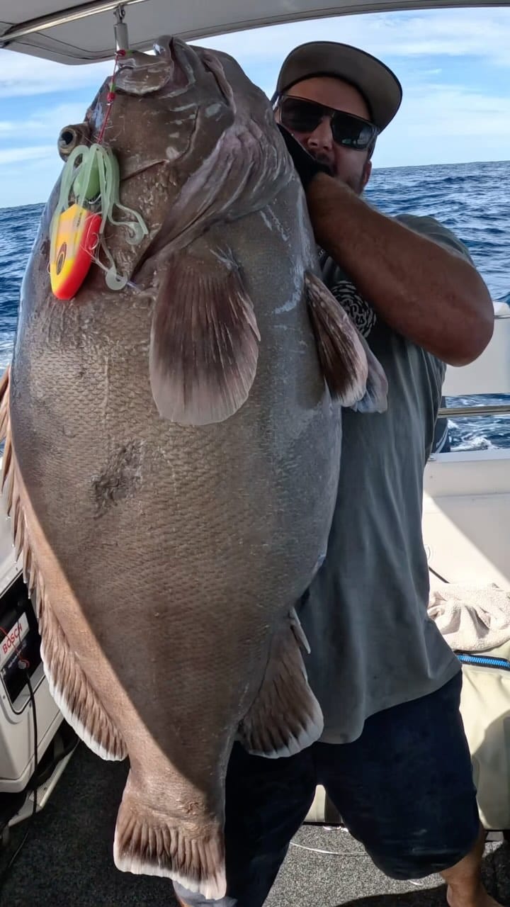 Post 9 by 🎣 Non Stop Fillets 🎣 on Instagram (video)