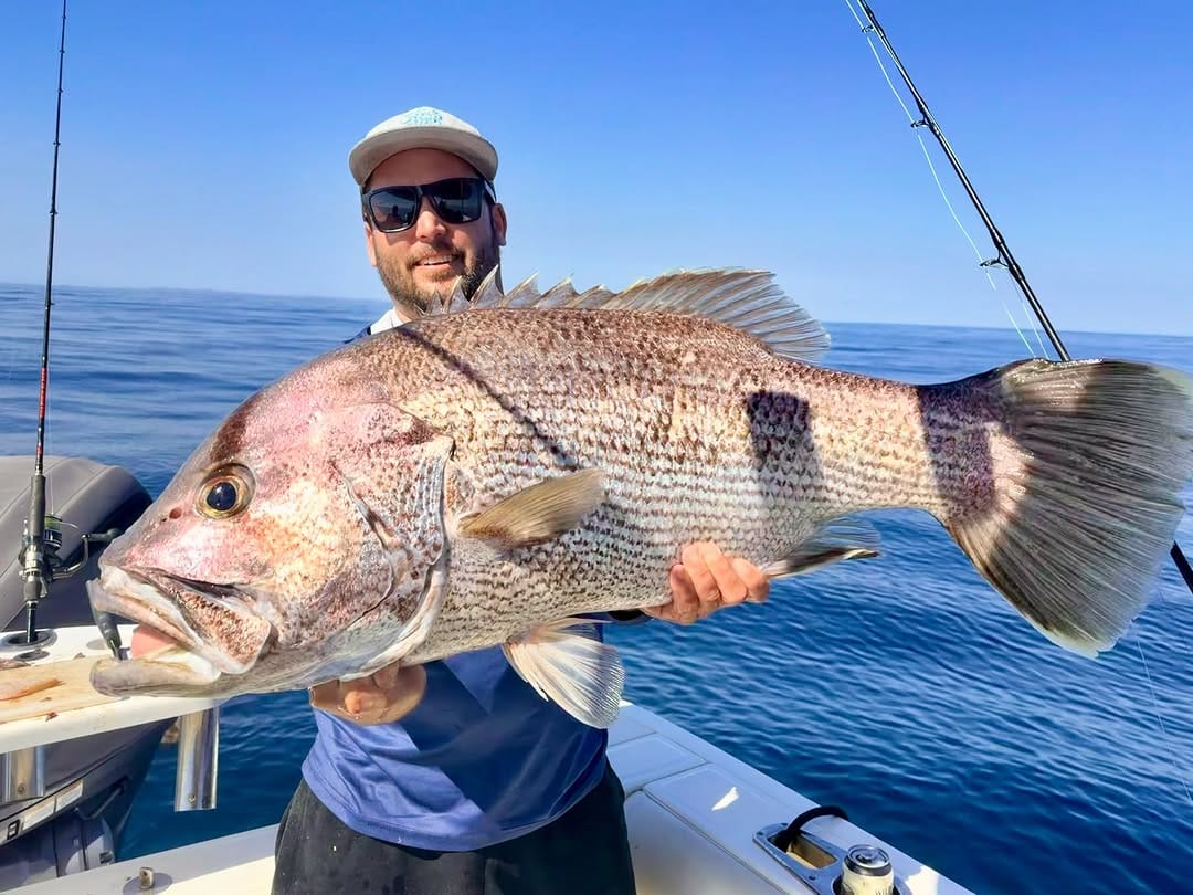 Post 5 by 🎣 Non Stop Fillets 🎣 on Instagram (carousel)