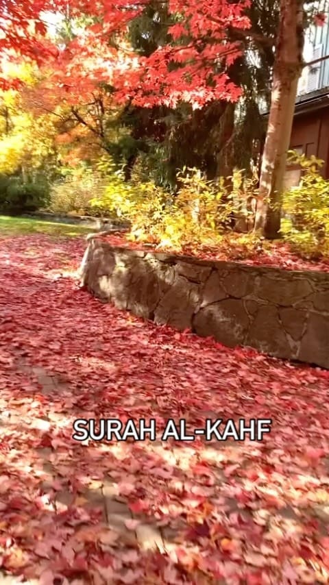 Post 7 by Sana Sohail | Parenting on Instagram (video)
