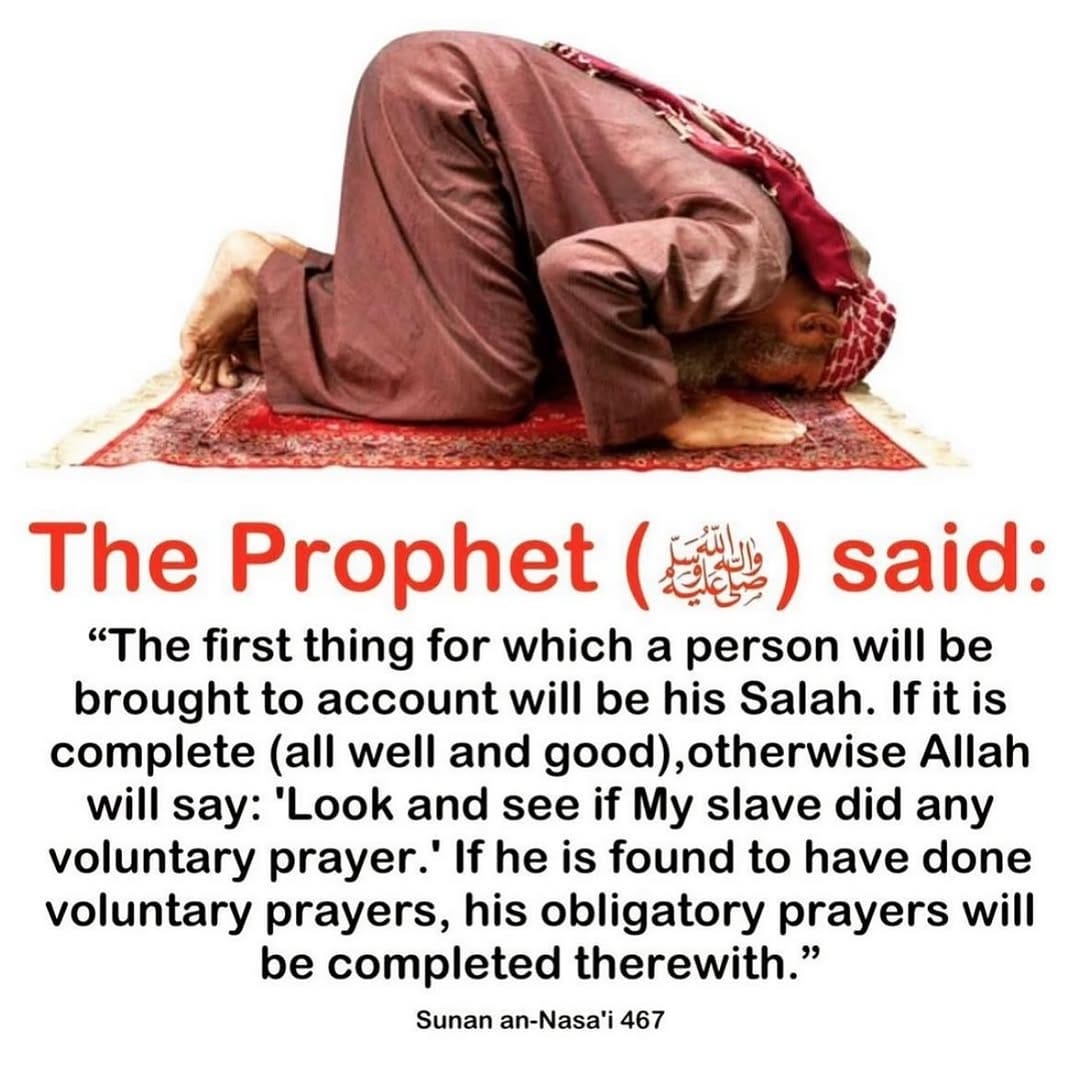 Post 10 by Sana Sohail | Parenting on Instagram (image)