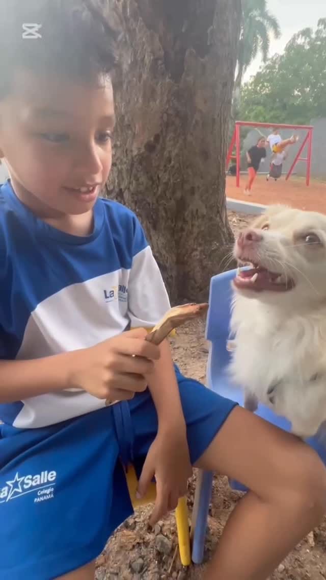 Post 5 by Tutorias Para Niños on Instagram (video)