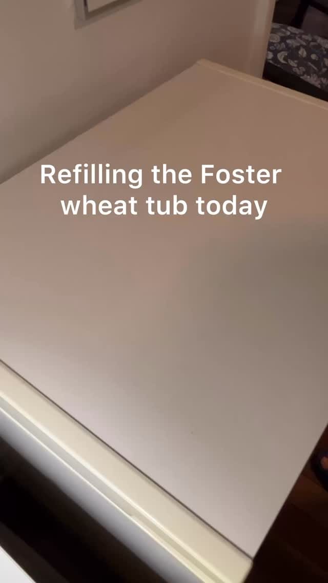 Post 9 by Elly's Everyday on Instagram (video)