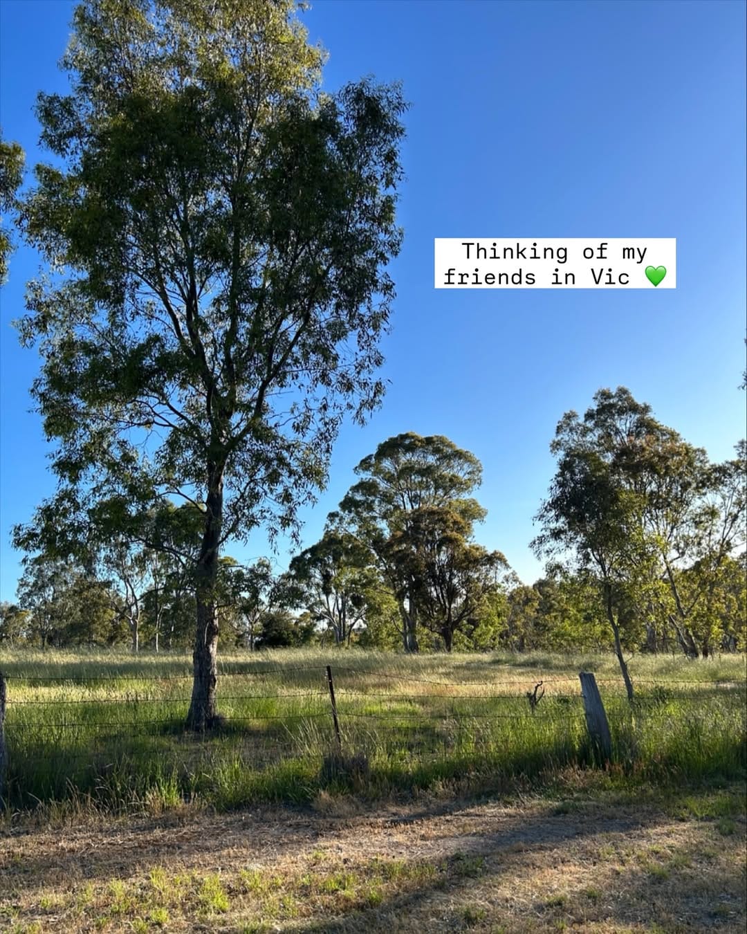 Post 7 by Elly's Everyday on Instagram (image)