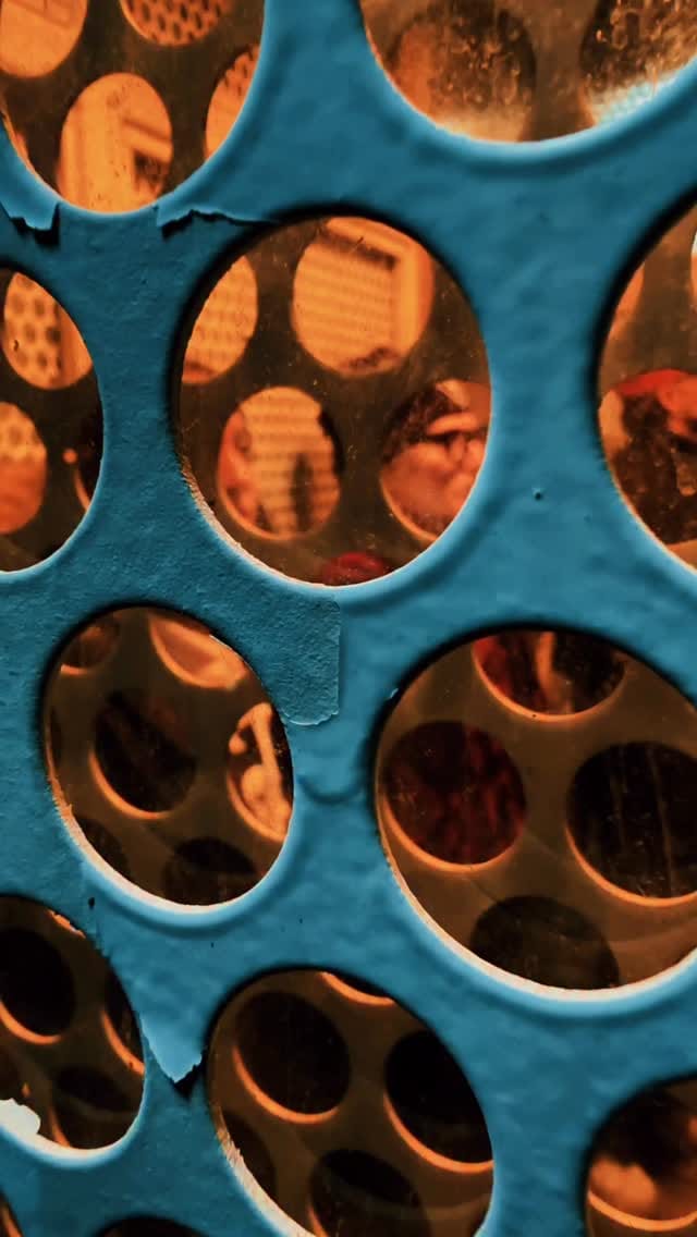 Post 6 by M A D D Y  F R E C H E T T E on Instagram (video)
