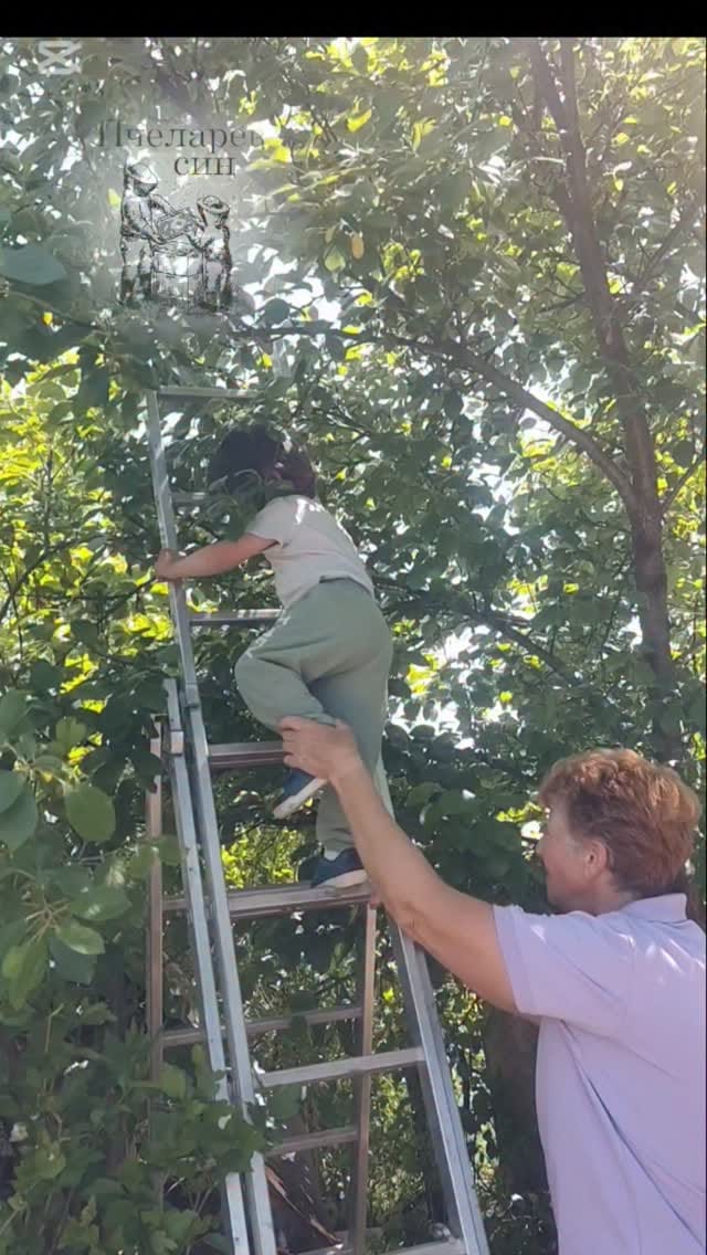 Post 10 by Пчеларев син on Instagram (video)