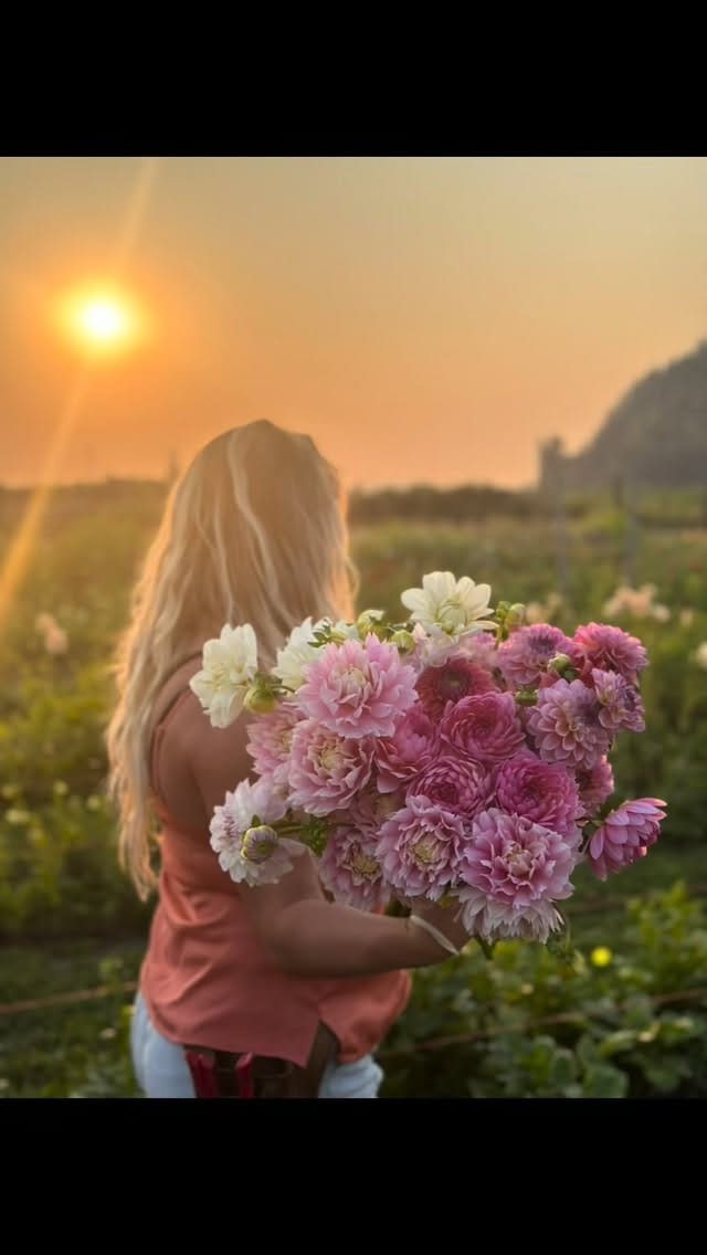 Post 1 by Three Cedars Farm | Cut Flowers, bulbs and Gifts on Instagram (video)