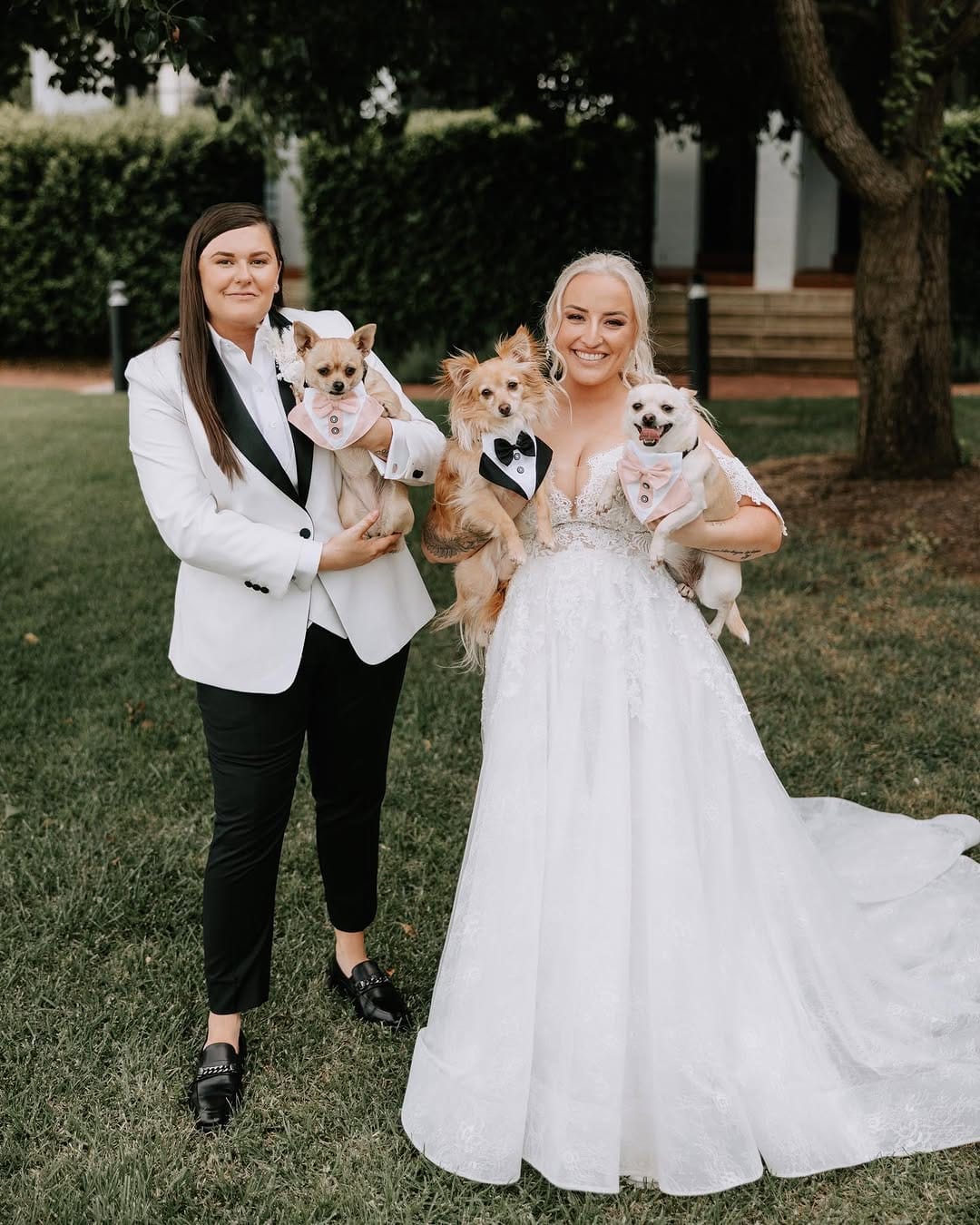 Post 1 by The Pawfect Trio 🤍 on Instagram (image)