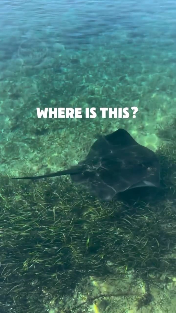 Post 8 by RICARDO GONÇALVES on Instagram (video)