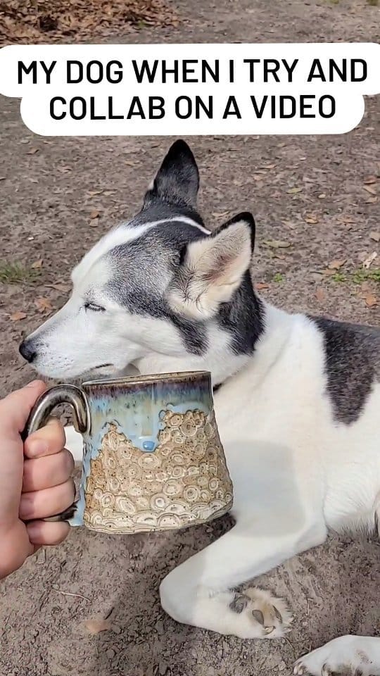 Post 2 by Sarah Eley Wolfe on Instagram (video)