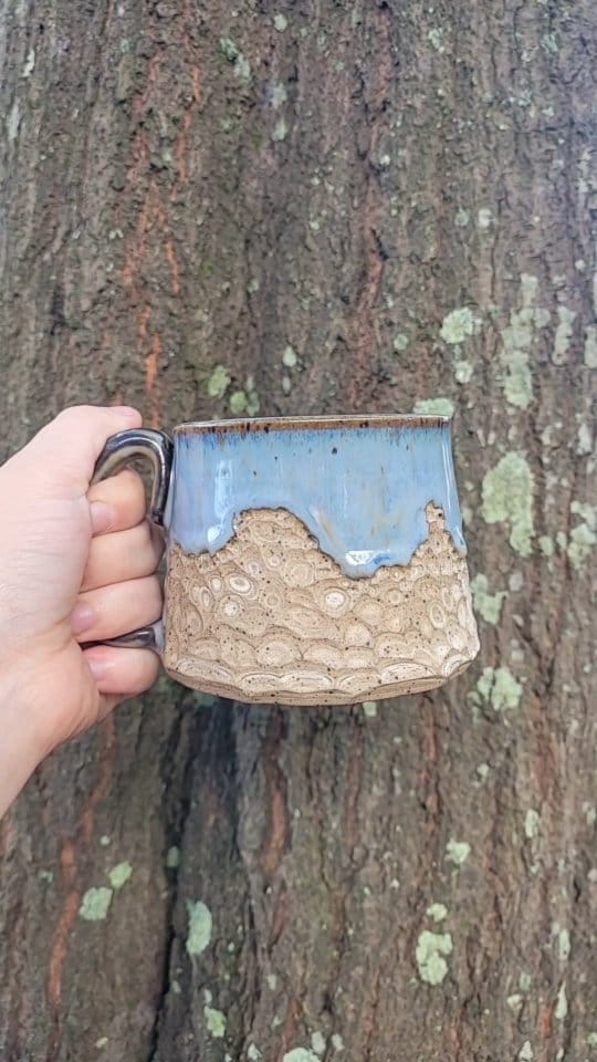 Post 5 by Sarah Eley Wolfe on Instagram (video)