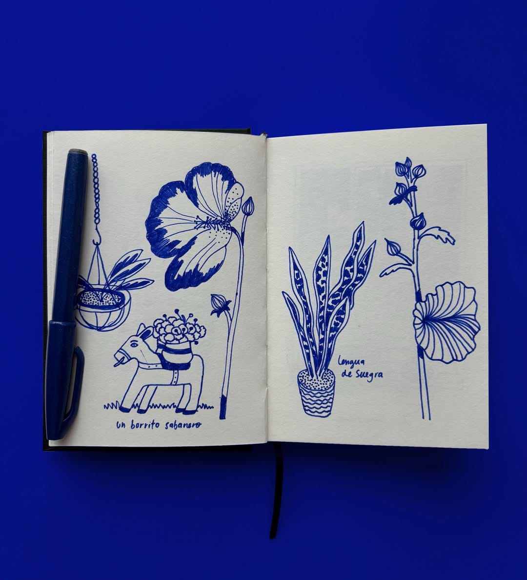 Post 1 by Gina Rosas Moncada on Instagram (carousel)