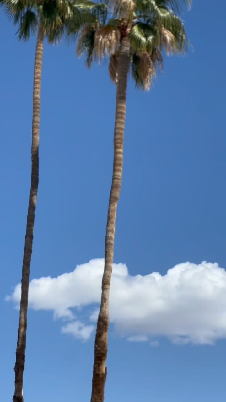 Post 7 by jeffrey james foxx on Instagram (video)