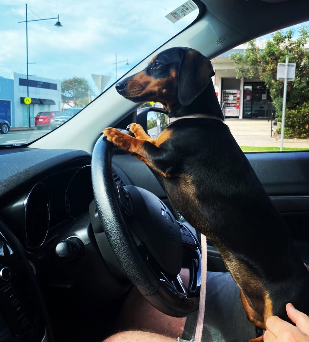 Post 2 by ime natural perfume on Instagram (image)