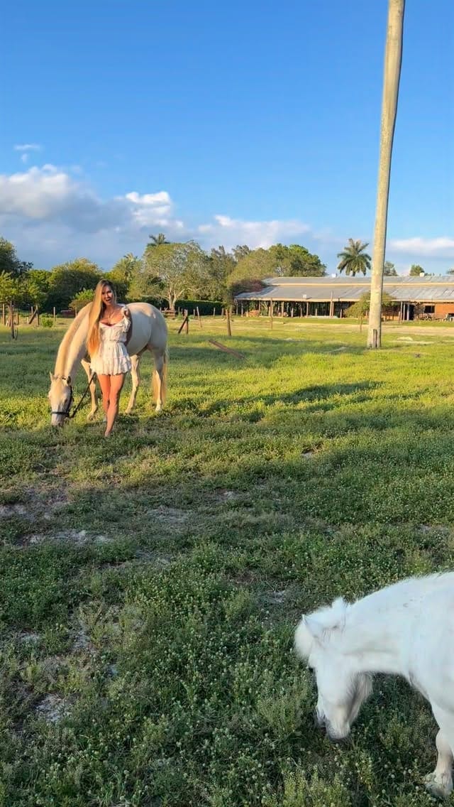 Post 2 by Victoria Ku 🦋 on Instagram (video)