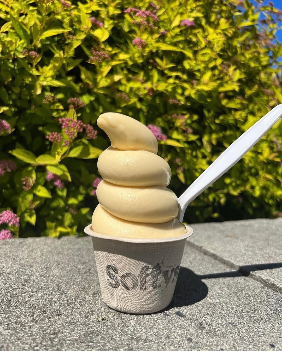 Post 3 by Taste of Victoria on Instagram (image)