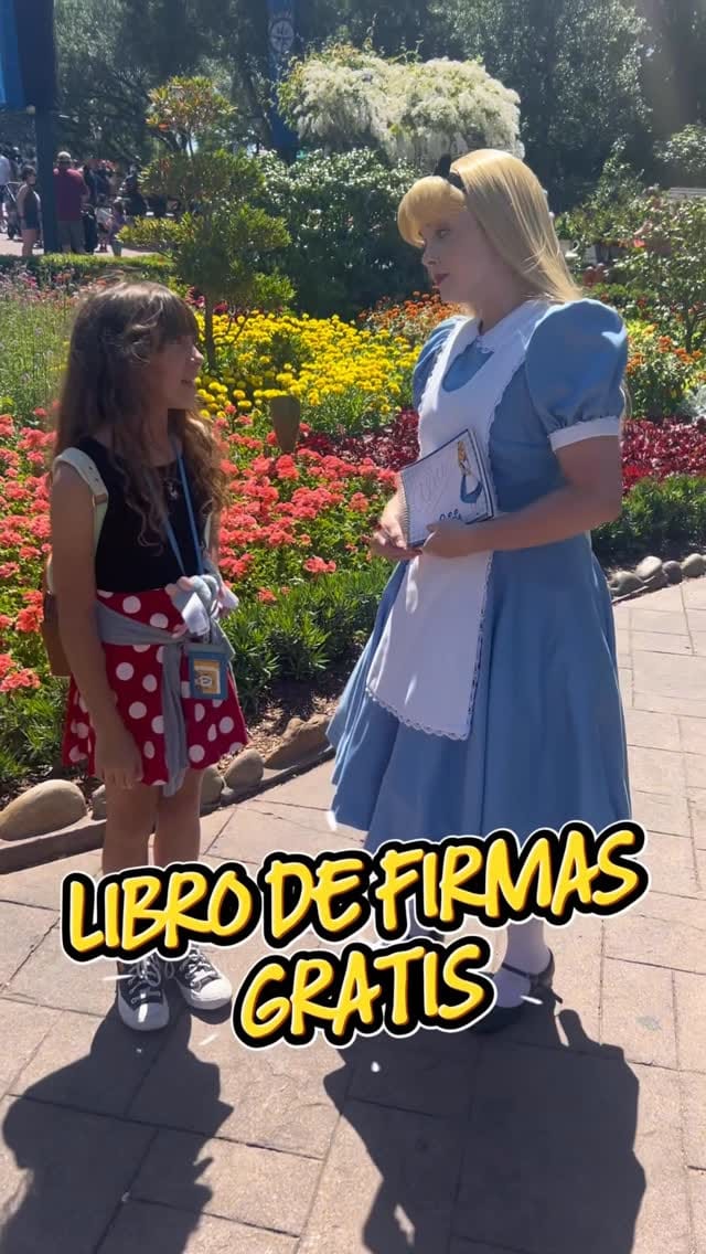 Post 3 by AGENCIA DE VIAJES🌴Experta Disney&Universal| Cruceros| Caribe on Instagram (video)