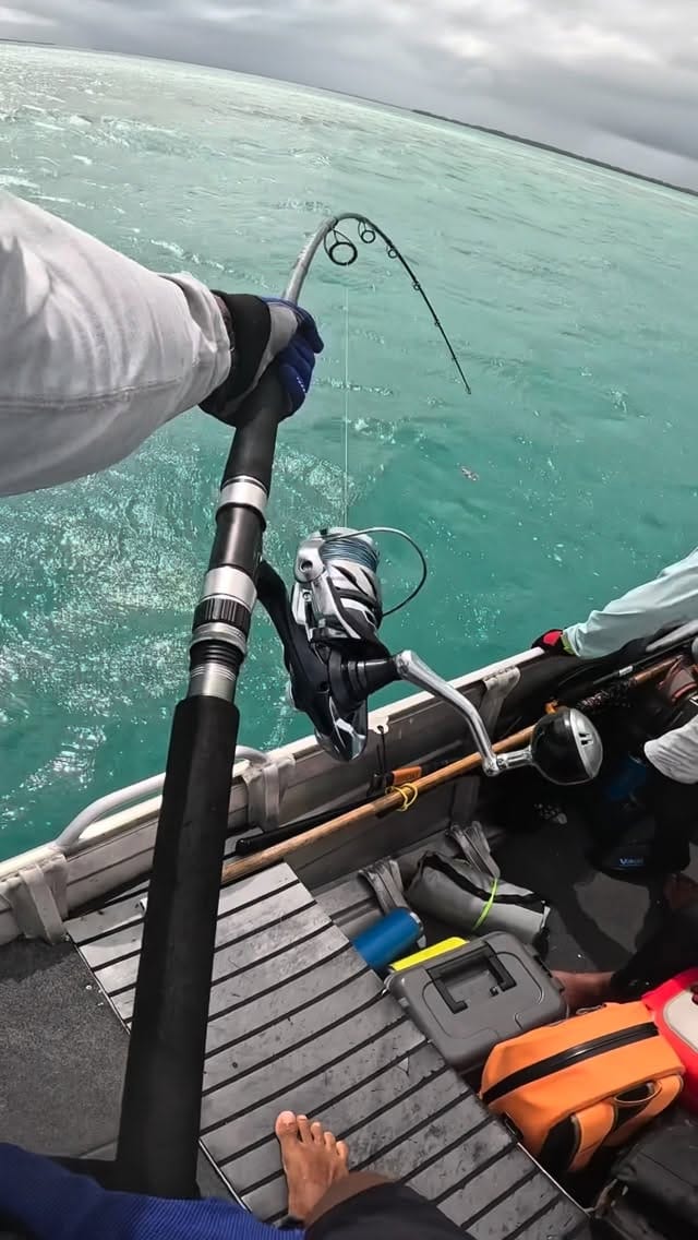 Post 3 by @westcoastpoppers on Instagram (video)
