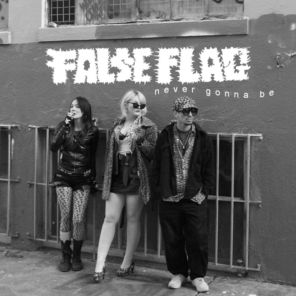 Post 4 by tenderloin party rockers on Instagram (carousel)