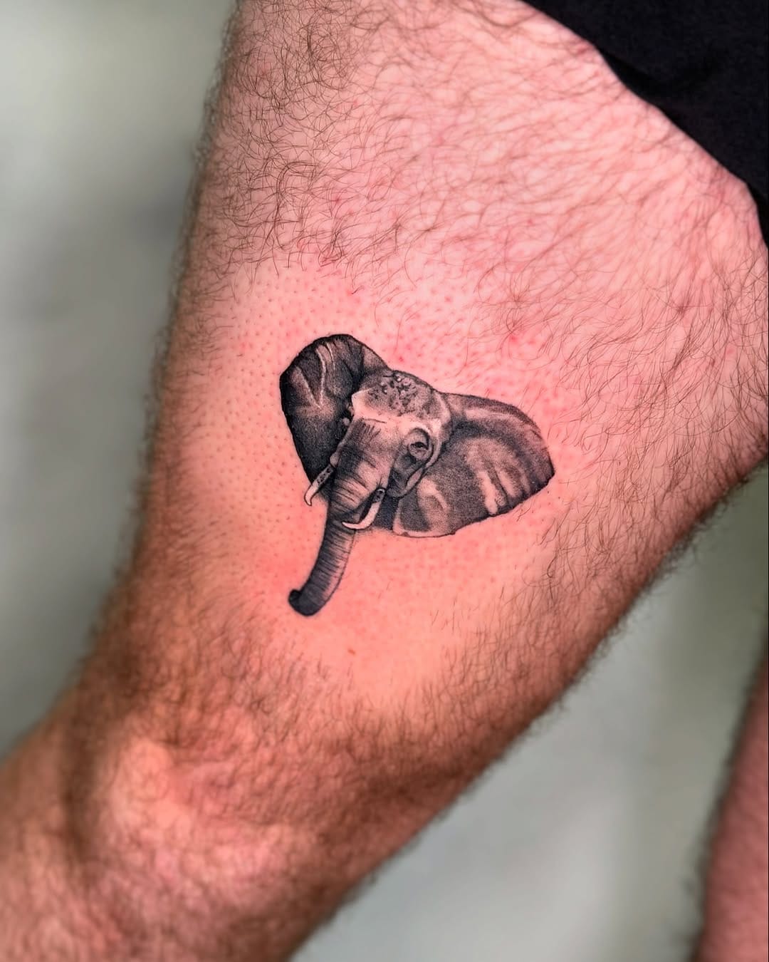 Post 8 by Sophie ♡ Nashville Tattoo Artist ♡ on Instagram (carousel)