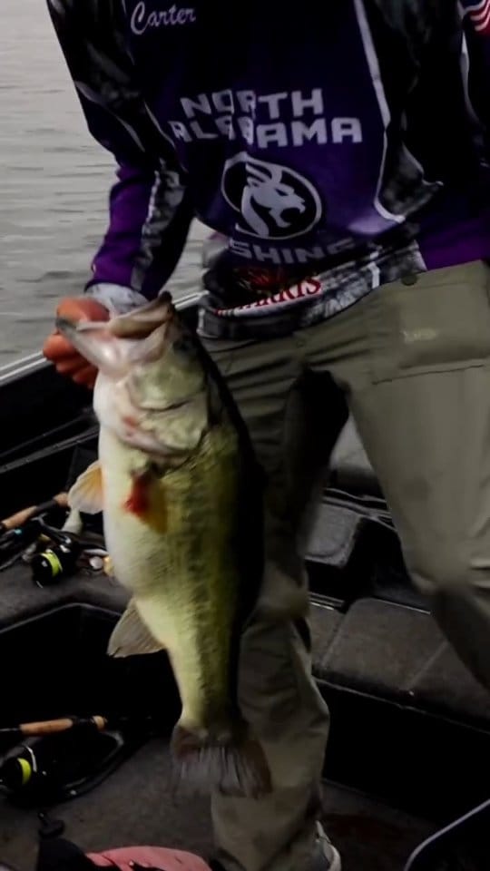 Post 5 by UNA Bass Fishing on Instagram (video)
