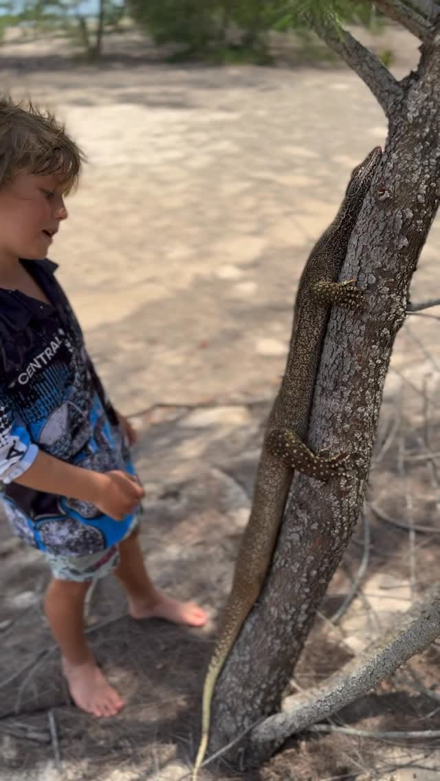 Post 4 by Kaia Wright | NORTHERN LIFE on Instagram (video)