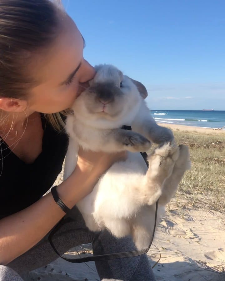 Post 2 by bunny boy bernie on Instagram (video)