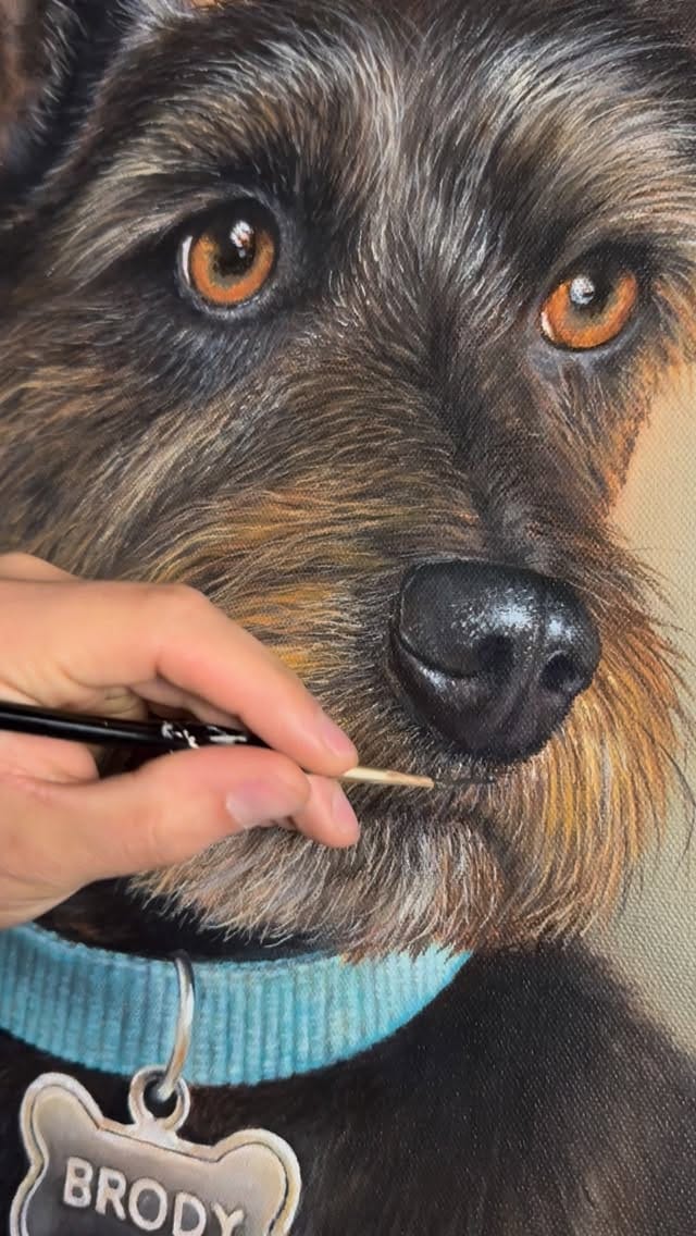 Post 8 by Joey Burr on Instagram (video)