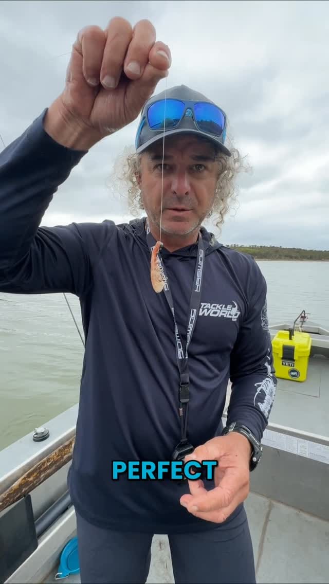 Post 2 by Tackle World Miami on Instagram (video)